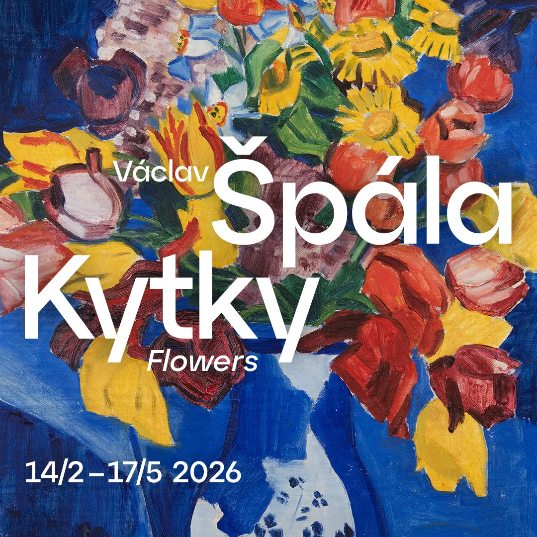 Václav Špála: Kytky